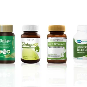 Best Selling Supplement for Ginkgo Biloba leaf Extract