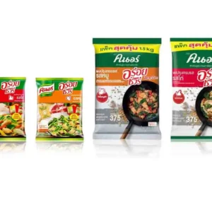 KNORR Chicken and Pork Seasoning Powder Big Pack